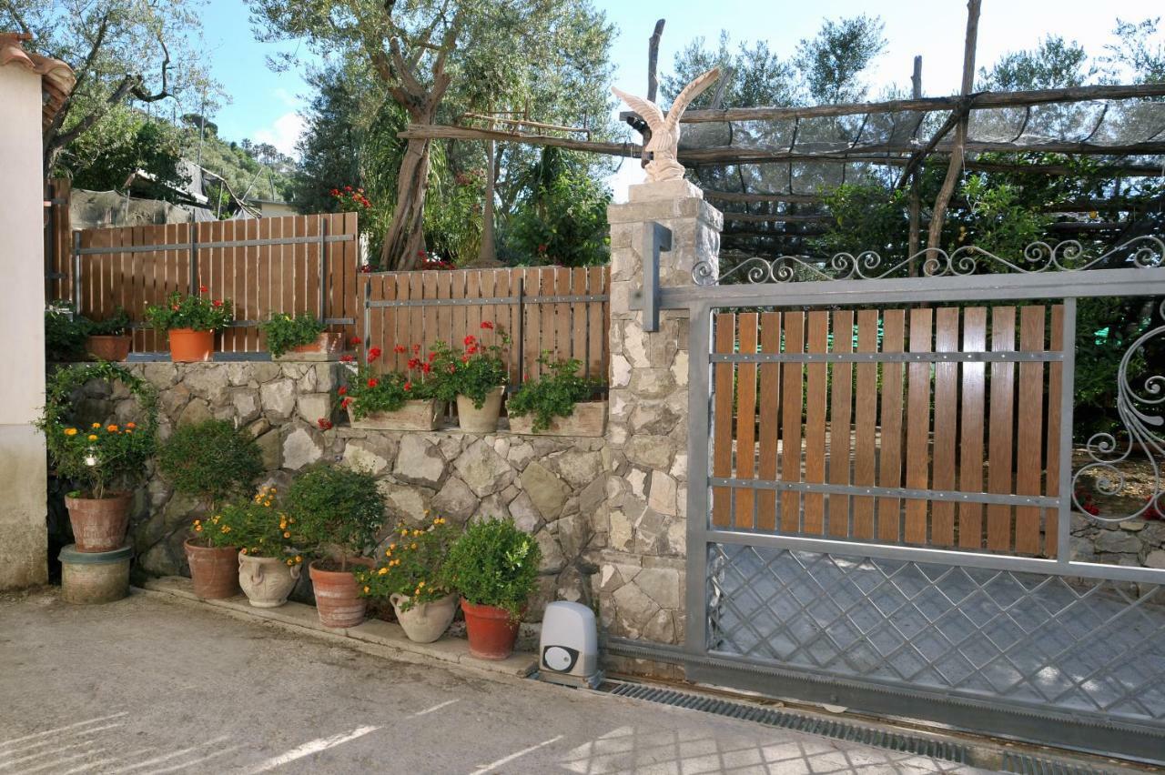 Casa Vacanze Chery Sorrento Exterior photo